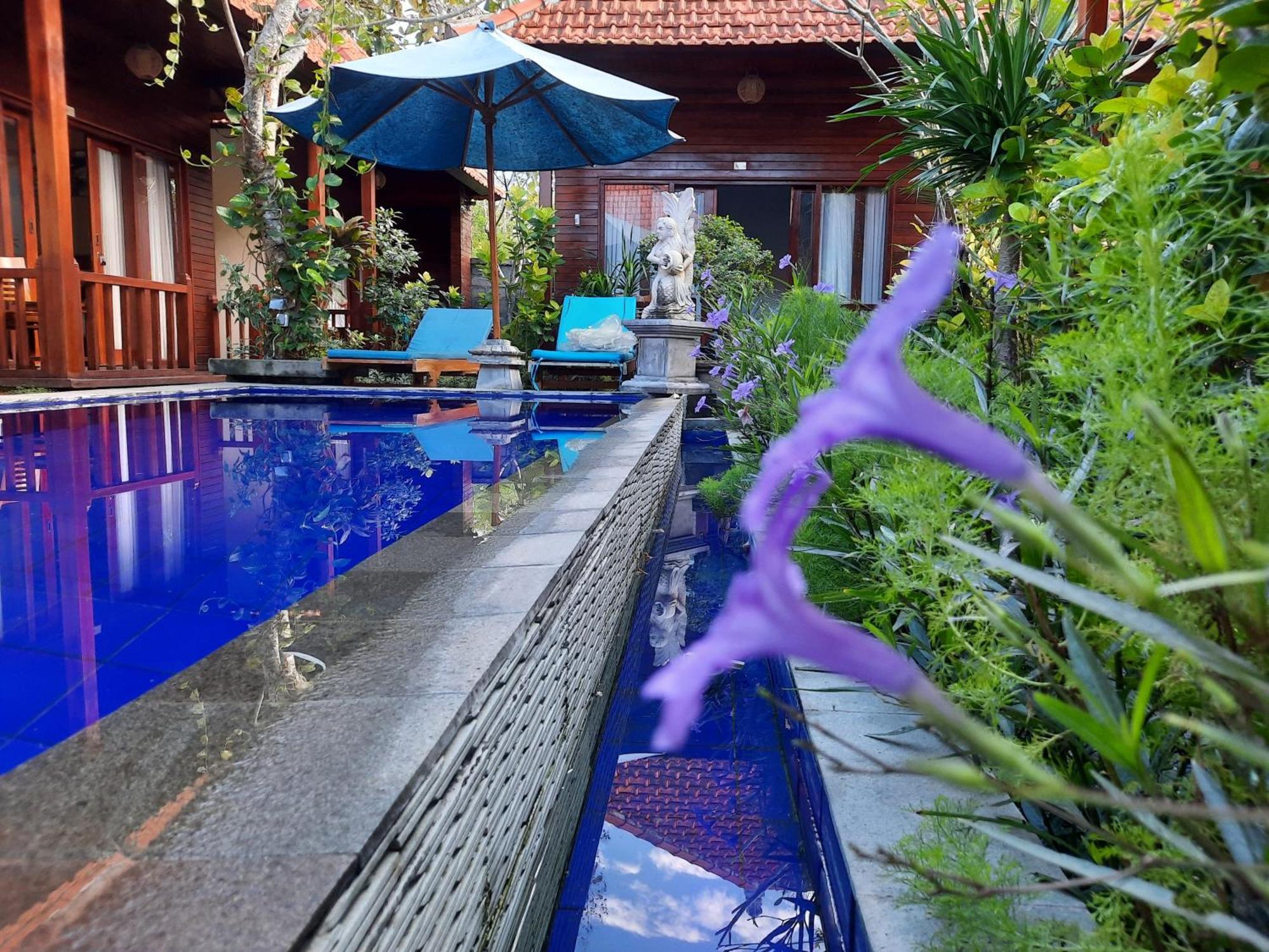 Wait Garden Cottage Toyapakeh Ngoại thất bức ảnh